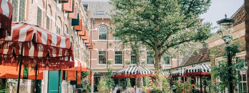 484917477 9468126276577727 5309912271943435146 n