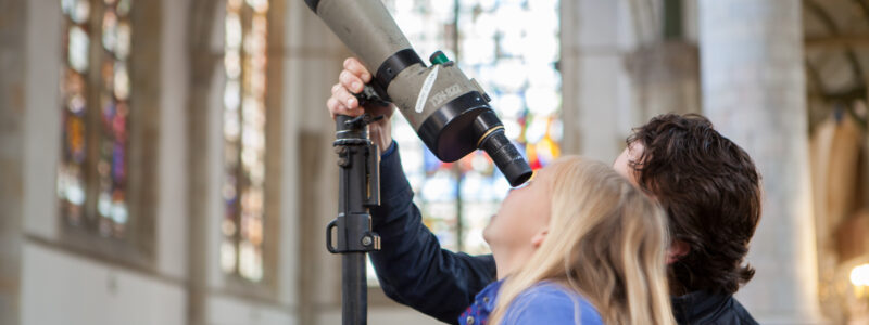 Ver, hacer y vivir - Destacado