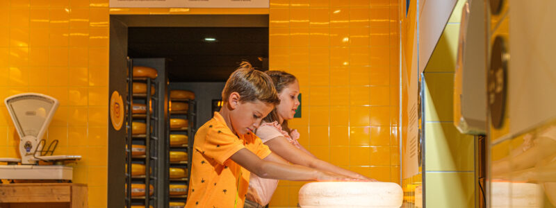 Gouda Cheese Experience 1