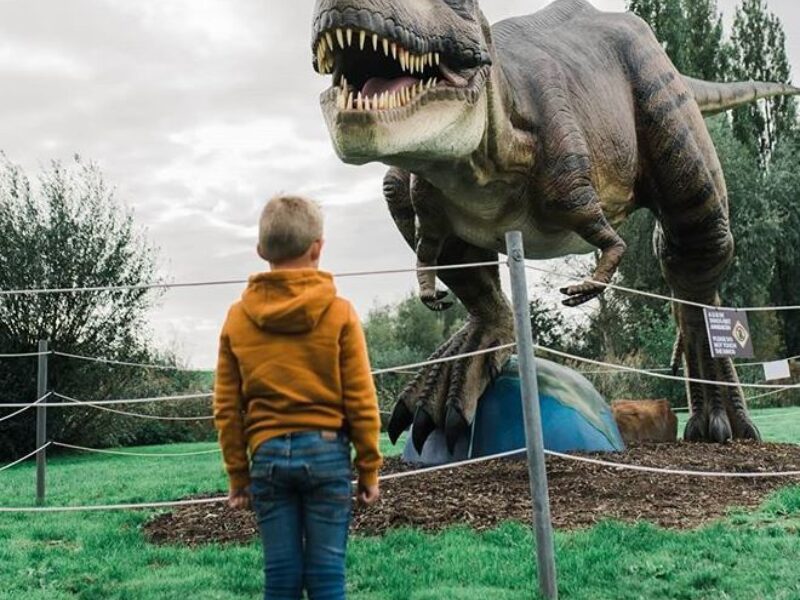 Dino Experience Park 1