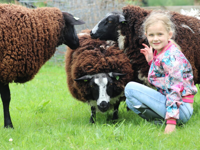 Granja infantil De Goudse Hofsteden 1