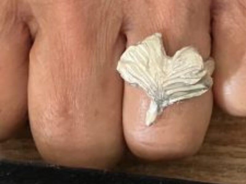 Workshop Creatief met Zilverklei | GOUDasfalt 3