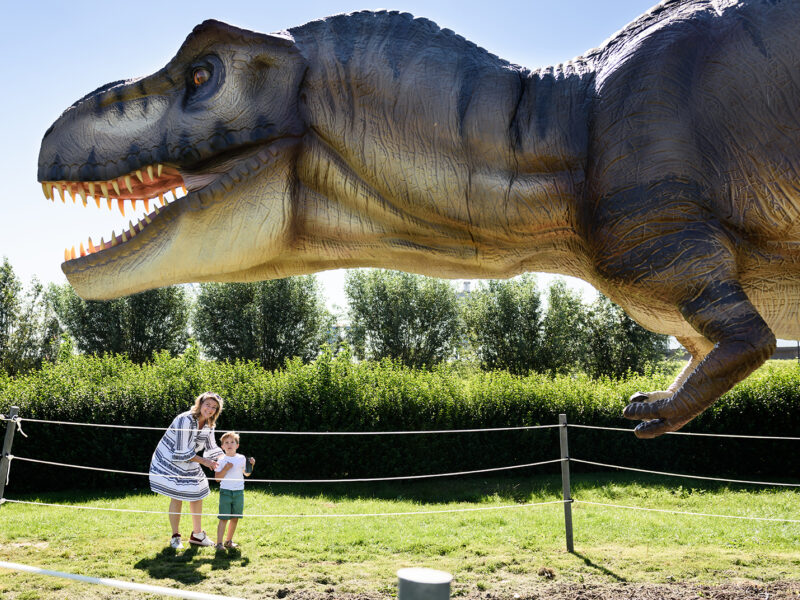 Goudse Post | The best summer outings - Featured