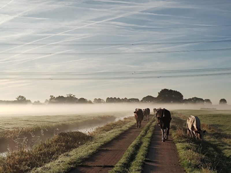Área de autocaravanas Hofstede Kloosterstein (Haastrecht - 4,5 km) 1
