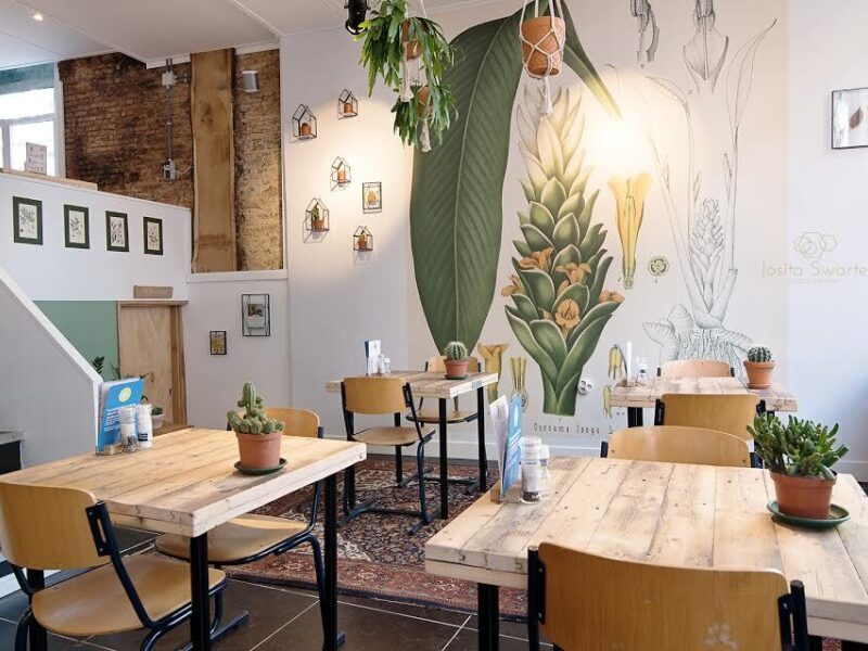 Mittagscafé Curcuma 2